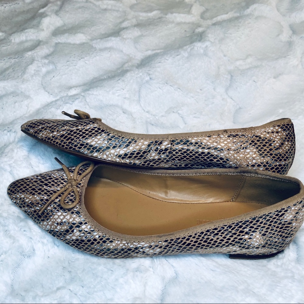 Banana Republic Snake print pointed toe flats